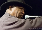 Chicago Blues Festival : Linsey Alexander (chant, guitare), Nellie &#34;Tiger&#34; Travis (chant), Harmonica Hinds (chant, harmonica), Fabrizio &#34;Breezy&#34; Rodio (guitare, chant), Donald Simmons (basse), Pooky Styx (batterie)