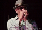 Chicago Blues Festival : Linsey Alexander (chant, guitare), Nellie &#34;Tiger&#34; Travis (chant), Harmonica Hinds (chant, harmonica), Fabrizio &#34;Breezy&#34; Rodio (guitare, chant), Donald Simmons (basse), Pooky Styx (batterie)