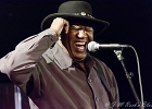 Chicago Blues Festival : Linsey Alexander (chant, guitare), Nellie &#34;Tiger&#34; Travis (chant), Harmonica Hinds (chant, harmonica), Fabrizio &#34;Breezy&#34; Rodio (guitare, chant), Donald Simmons (basse), Pooky Styx (batterie)