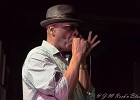Chicago Blues Festival : Linsey Alexander (chant, guitare), Nellie &#34;Tiger&#34; Travis (chant), Harmonica Hinds (chant, harmonica), Fabrizio &#34;Breezy&#34; Rodio (guitare, chant), Donald Simmons (basse), Pooky Styx (batterie)