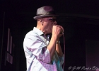 Chicago Blues Festival : Linsey Alexander (chant, guitare), Nellie &#34;Tiger&#34; Travis (chant), Harmonica Hinds (chant, harmonica), Fabrizio &#34;Breezy&#34; Rodio (guitare, chant), Donald Simmons (basse), Pooky Styx (batterie)