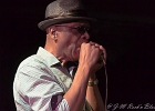 Chicago Blues Festival : Linsey Alexander (chant, guitare), Nellie &#34;Tiger&#34; Travis (chant), Harmonica Hinds (chant, harmonica), Fabrizio &#34;Breezy&#34; Rodio (guitare, chant), Donald Simmons (basse), Pooky Styx (batterie)