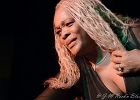 Chicago Blues Festival : Linsey Alexander (chant, guitare), Nellie &#34;Tiger&#34; Travis (chant), Harmonica Hinds (chant, harmonica), Fabrizio &#34;Breezy&#34; Rodio (guitare, chant), Donald Simmons (basse), Pooky Styx (batterie)
