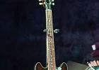 Chicago Blues Festival : Linsey Alexander (chant, guitare), Nellie &#34;Tiger&#34; Travis (chant), Harmonica Hinds (chant, harmonica), Fabrizio &#34;Breezy&#34; Rodio (guitare, chant), Donald Simmons (basse), Pooky Styx (batterie)