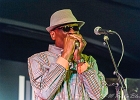 Chicago Blues Festival : Linsey Alexander (chant, guitare), Nellie &#34;Tiger&#34; Travis (chant), Harmonica Hinds (chant, harmonica), Fabrizio &#34;Breezy&#34; Rodio (guitare, chant), Donald Simmons (basse), Pooky Styx (batterie)