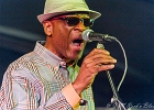 Chicago Blues Festival : Linsey Alexander (chant, guitare), Nellie &#34;Tiger&#34; Travis (chant), Harmonica Hinds (chant, harmonica), Fabrizio &#34;Breezy&#34; Rodio (guitare, chant), Donald Simmons (basse), Pooky Styx (batterie)
