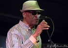 Chicago Blues Festival : Linsey Alexander (chant, guitare), Nellie &#34;Tiger&#34; Travis (chant), Harmonica Hinds (chant, harmonica), Fabrizio &#34;Breezy&#34; Rodio (guitare, chant), Donald Simmons (basse), Pooky Styx (batterie)