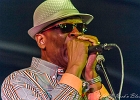 Chicago Blues Festival : Linsey Alexander (chant, guitare), Nellie &#34;Tiger&#34; Travis (chant), Harmonica Hinds (chant, harmonica), Fabrizio &#34;Breezy&#34; Rodio (guitare, chant), Donald Simmons (basse), Pooky Styx (batterie)