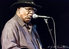 Chicago Blues Festival : Linsey Alexander (chant, guitare), Nellie &#34;Tiger&#34; Travis (chant), Harmonica Hinds (chant, harmonica), Fabrizio &#34;Breezy&#34; Rodio (guitare, chant), Donald Simmons (basse), Pooky Styx (batterie)