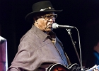 Chicago Blues Festival : Linsey Alexander (chant, guitare), Nellie &#34;Tiger&#34; Travis (chant), Harmonica Hinds (chant, harmonica), Fabrizio &#34;Breezy&#34; Rodio (guitare, chant), Donald Simmons (basse), Pooky Styx (batterie)