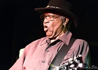 Chicago Blues Festival : Linsey Alexander (chant, guitare), Nellie &#34;Tiger&#34; Travis (chant), Harmonica Hinds (chant, harmonica), Fabrizio &#34;Breezy&#34; Rodio (guitare, chant), Donald Simmons (basse), Pooky Styx (batterie)
