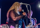 Chicago Blues Festival : Linsey Alexander (chant, guitare), Nellie &#34;Tiger&#34; Travis (chant), Harmonica Hinds (chant, harmonica), Fabrizio &#34;Breezy&#34; Rodio (guitare, chant), Donald Simmons (basse), Pooky Styx (batterie)