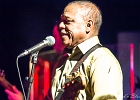 Chicago Blues Festival : Linsey Alexander (chant, guitare), Nellie &#34;Tiger&#34; Travis (chant), Harmonica Hinds (chant, harmonica), Fabrizio &#34;Breezy&#34; Rodio (guitare, chant), Donald Simmons (basse), Pooky Styx (batterie)