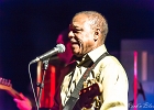 Chicago Blues Festival : Linsey Alexander (chant, guitare), Nellie &#34;Tiger&#34; Travis (chant), Harmonica Hinds (chant, harmonica), Fabrizio &#34;Breezy&#34; Rodio (guitare, chant), Donald Simmons (basse), Pooky Styx (batterie)
