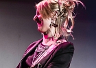 The Wild Ladybugs : Gaelle Buswel (chant, guitare), Lionel Riss (guitare), Michel Iozza (basse), Jimmy Montout (batterie), Damien Cornelis (clavier)