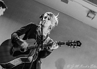 The Wild Ladybugs : Gaelle Buswel (chant, guitare), Lionel Riss (guitare), Michel Iozza (basse), Jimmy Montout (batterie), Damien Cornelis (clavier)