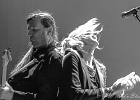 The Wild Ladybugs : Gaelle Buswel (chant, guitare), Lionel Riss (guitare), Michel Iozza (basse), Jimmy Montout (batterie), Damien Cornelis (clavier)