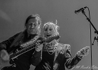 The Wild Ladybugs : Gaelle Buswel (chant, guitare), Lionel Riss (guitare), Michel Iozza (basse), Jimmy Montout (batterie), Damien Cornelis (clavier)