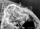 Layla Zoe (chant), Jan Laacks (guitare), Gregor Sonnenberg (basse), Hardy Fischötter (batterie)