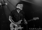 Fred Chapellier (chant, guitare),  Charlie Fabert (guitare), Abder Benachour (basse), Denis Palatin (batterie)