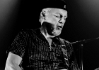 Fred Chapellier (chant, guitare),  Charlie Fabert (guitare), Abder Benachour (basse), Denis Palatin (batterie)