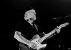 Fred Chapellier (chant, guitare),  Charlie Fabert (guitare), Abder Benachour (basse), Denis Palatin (batterie)