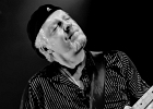 Fred Chapellier (chant, guitare),  Charlie Fabert (guitare), Abder Benachour (basse), Denis Palatin (batterie)