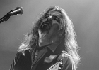 Jesus Volt : Lord Tracy (chant et harmonica), El Tao (guitare), Fuzzy Bear (basse) and  Holy Bear (batterie)