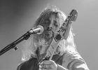 Jesus Volt : Lord Tracy (chant et harmonica), El Tao (guitare), Fuzzy Bear (basse) and  Holy Bear (batterie)