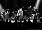Jesus Volt : Lord Tracy (chant et harmonica), El Tao (guitare), Fuzzy Bear (basse) and  Holy Bear (batterie)
