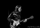 Neal Black (guitare, chant), Mike Lattrell (clavier),Kris Jefferson (basse),  Dave Bowler (batterie)