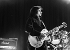 Vanilla Fudge :  Carmine Appice (batterie, chant), Vince Martell (guitare, chant) and Mark Stein (claviers, chant), Pete Bremy (basse, chant)