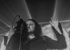 IMG 6397