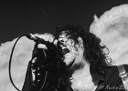 IMG 6398