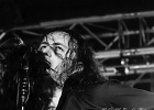IMG 6461
