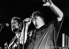 Curtis Salgado (chant, harmonica), Mike Welch (chant, guitare), Julien Brunetaud (claviers), Mig Touquereau (basse), Fabrice Bessouat (batterie)