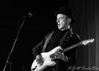 The Shakin Mates : 2014, AMERICAN DAY, BLUES, BLUES ROCK, CONCERT, MARTINE, ROCK, SHAKIN MATES
