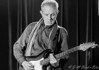 The Shakin Mates : 2014, AMERICAN DAY, BLUES, BLUES ROCK, CONCERT, MARTINE, ROCK, SHAKIN MATES