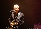 The Immigrants :  Mike Greene (chant,guitare), Stéphane Ranaldi (batterie), Alain Michel (harmonica),  Thomas Dziano (guitare, chant) : 2014, BLUES, CONCERT, FLORENCE, MARTINE, MYRIAM, NATHALIE, PHIL, THE IMMIGRANTS, TREMBLAY EN FRANCE, VIRGINIE