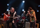 The Immigrants :  Mike Greene (chant,guitare), Stéphane Ranaldi (batterie), Alain Michel (harmonica),  Thomas Dziano (guitare, chant) : 2014, BLUES, CONCERT, FLORENCE, MARTINE, MYRIAM, NATHALIE, PHIL, THE IMMIGRANTS, TREMBLAY EN FRANCE, VIRGINIE