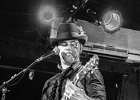 Manu Lanvin (chant, guitare), Gabriel Barry (contrebasse), Jimmy Montout (batterie)