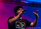 Sergent Garcia : 2014, CHATOU, CONCERT, SERGENT GARCIA, WORLD MUSIC