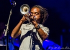 Sergent Garcia : 2014, CHATOU, CONCERT, SERGENT GARCIA, WORLD MUSIC