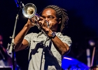 Sergent Garcia : 2014, CHATOU, CONCERT, SERGENT GARCIA, WORLD MUSIC