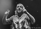 Sergent Garcia : 2014, CHATOU, CONCERT, SERGENT GARCIA, WORLD MUSIC
