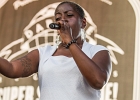 Daptone Super Soul Revue : Sharon Jones &#38; The Dap-Kings, Charles Bradley and his Extraordinaires, Antibalas, The Sugarman3 : 2014, CHARLES BRADLEY, CONCERT, LA DEFENSE, MARTINE, RYTHM AND BLUES, SHARON JONES, SOUL