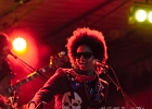 Z-Star : 2014, CONCERT, FOLK, MARTINE, ROCK, SAINT BREVIN