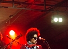 Z-Star : 2014, CONCERT, FOLK, MARTINE, ROCK, SAINT BREVIN