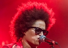 Z-Star : 2014, CONCERT, FOLK, MARTINE, ROCK, SAINT BREVIN