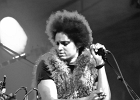 Z-Star : 2014, CONCERT, FOLK, MARTINE, ROCK, SAINT BREVIN